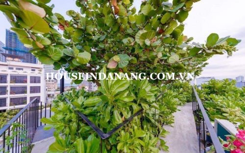 Danang beach house for rent, Vietnam, Son Tra district 8, near the beach