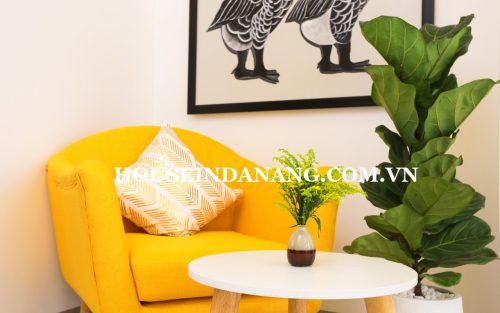 Danang house rent, Vietnam, Son Tra district 8