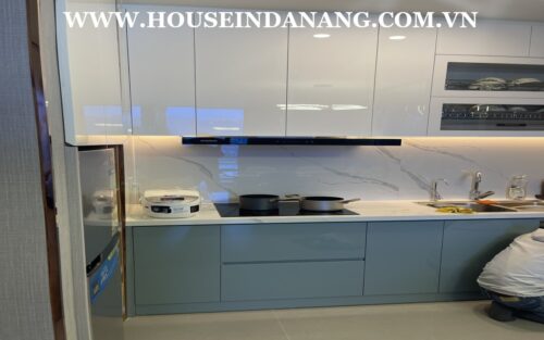 Danang luxury apartments for rent in Vietnam, Hai Chau district 1