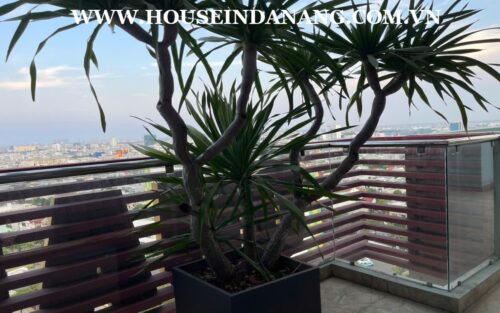 Penthouse apartment in Danang for rent, in Vietnam, Hai Chau district 6