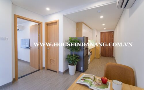 Apartments rental Da Nang near Han river, in Vietnam, Son Tra district, modern style 2