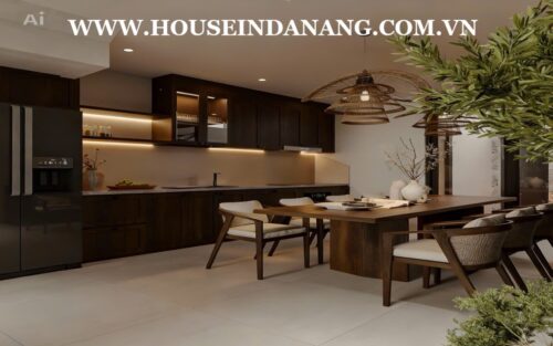 Danang luxurious houses rental in Nam Viet A residential area, Vietnam, modern design